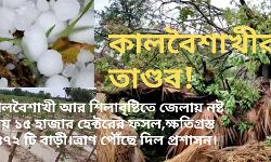 কালবৈশাখী আর শিলাবৃষ্টিতে জেলায় নষ্ট প্রায় ১৫ হাজার হেক্টরের ফসল,ক্ষতিগ্রস্ত ১৪৭২ টি বাড়ী। ত্রাণ পৌঁছে দিল প্রশাসন। কালবৈশাখী আর শিলাবৃষ্টিতে জেলায় নষ্ট প্রায় ১৫ হাজার হেক্টরের ফসল,ক্ষতিগ্রস্ত ১৪৭২ টি বাড়ী। ত্রাণ পৌঁছে দিল প্রশাসন।