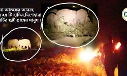 করোনা আতঙ্কের আবহে তান্ডব ২৫ টি হাতির,দিশেহারা জি,ঘাটির ছটি গ্রামের মানুষ । করোনা আতঙ্কের আবহে তান্ডব ২৫ টি হাতির,দিশেহারা জি,ঘাটির ছটি গ্রামের মানুষ ।