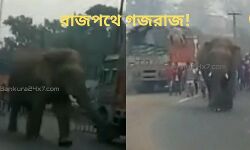 রাজপথে দাপিয়ে বেড়াল গজরাজ! দেখুন এক্সক্লুসিভ 🎦 ভিডিও প্রতিবেদন।