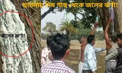 নিম গাছ থেকে জলের ঝর্ণা! এই জল বোতল বন্দি করতে উপচে পড়চে ভীড়!কেন ঘটছে এমনটা?জেনে নিন।