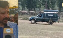 হাতি ঠেকাতে রাজ্যের হাতিয়ার কানাডা মডেল,জেলায় মাধ্যমিকে এবারও থাকছে বিশেষ বাহিনী।