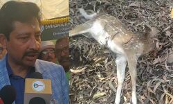 মুকুটমনিপুরে তিন হরিণের মৃত্যুর ঘটনায় সাত দিনের মধ্যে তদন্ত কমিটিকে রিপোর্ট জমা দেওয়ার নির্দেশ বন মন্ত্রীর।