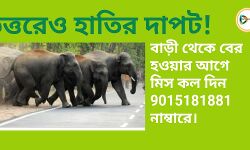 উত্তরেও হাতির দাপট! বাড়ী থেকে বের হওয়ার আগে মিস কল দিন 9015181881নাম্বারে। উত্তরেও হাতির দাপট! বাড়ী থেকে বের হওয়ার আগে মিস কল দিন 9015181881নাম্বারে।