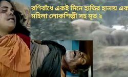 রানিবাঁধে একই দিনে হাতির আক্রমণে মহিলা লোক শিল্পী সহ ২ জনের মৃত্যু। জেলার জঙ্গল মহল জুড়ে ছড়াল হাতির আতঙ্ক!