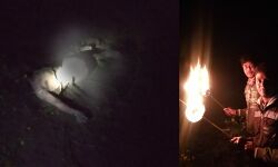 জিঘাটিতে হাতি তাড়াতে গিয়ে মৃত্যু যুবকের, গ্রামবাসীদের বিক্ষোভ সামাল দিতে রাত একটায় হাতি তাড়াতে নামল বনদপ্তর।