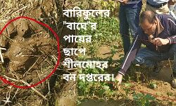 বারিকুলের বাঘের পায়ের ছাপে শীলমোহর বন দপ্তরের। ছাপ বাঘের স্পষ্ট জানালেন মুখ্য বনপাল (সেন্ট্রাল) রাজীব শর্মা। বারিকুলের বাঘের পায়ের ছাপে শীলমোহর বন দপ্তরের। ছাপ বাঘের স্পষ্ট জানালেন মুখ্য বনপাল (সেন্ট্রাল) রাজীব শর্মা।