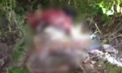 প্রেমের সম্পর্ক মানবে না পরিবার!এই আশঙ্কায় সোনামুখীতে আত্মঘাতী কিশোর,কিশোরী, নিখোঁজের আট দিন পর জঙ্গলে মিলল মৃতদেহ। প্রেমের সম্পর্ক মানবে না পরিবার!এই আশঙ্কায় সোনামুখীতে আত্মঘাতী কিশোর,কিশোরী, নিখোঁজের আট দিন পর জঙ্গলে মিলল মৃতদেহ।