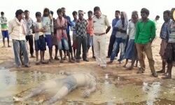 দামোদরে তলিয়ে যাওয়া অষ্টম বাগদীর মৃতদেহ উদ্ধার হল আজ। দামোদরে তলিয়ে যাওয়া অষ্টম বাগদীর মৃতদেহ উদ্ধার হল আজ।