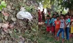 পুকুর পাড় থেকে উদ্ধার শিশুর মৃতদেহ, ইন্দাসের গোপাল নগর গ্রামে চাঞ্চল্য! পুকুর পাড় থেকে উদ্ধার শিশুর মৃতদেহ, ইন্দাসের গোপাল নগর গ্রামে চাঞ্চল্য!