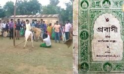 দেখুন গরুখুটা উৎসবের ভিডিও, যা নিয়ে প্রবন্ধ প্রকাশিত হয়েছিল প্রবাসী পত্রিকাতেও।