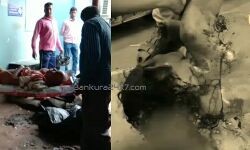 সম্পত্তি নিয়ে বিবাদের জেরে বৃদ্ধ মা,বাবাকে এলোপাথাড়ি কোপাল ছেলে,কাটা পড়ল মায়ের দুই হাত! সম্পত্তি নিয়ে বিবাদের জেরে বৃদ্ধ মা,বাবাকে এলোপাথাড়ি কোপাল ছেলে,কাটা পড়ল মায়ের দুই হাত!