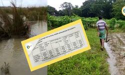 টানা কদিনের অকাল বর্ষনে জেলায় ক্ষতি ২৫,৩৯৭ লাখ টাকার ফসল, জানাল কৃষি দপ্তর। টানা কদিনের অকাল বর্ষনে জেলায় ক্ষতি ২৫,৩৯৭ লাখ টাকার ফসল, জানাল কৃষি দপ্তর।