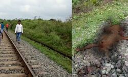 পাত্রসায়রে বিডিআর লাইনে ঝাঁপ দিয়ে আত্মঘাতী এক মানসিক ভারসাম্যহীন মহিলা। পাত্রসায়রে বিডিআর লাইনে ঝাঁপ দিয়ে আত্মঘাতী এক মানসিক ভারসাম্যহীন মহিলা।