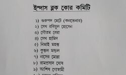 লোকসভা ভোটে ভরাডুবির জের,বিষ্ণুপুর লোকসভার জয়পুর ও ইন্দাসে ব্লক কমিটি ভেঙে কোর কমিটি গড়ল তৃণমূল।