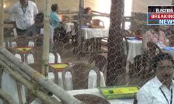 জেলার ৫ গননা কেন্দ্রে শুরু হল ভোট গননা। দেখুন 🎦 ভিডিও।