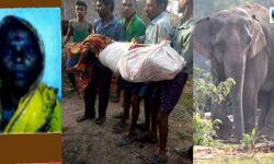 বড়জোড়ায় হাতির হানার মৃত্যু বৃদ্ধার,হাতি ঠেকানোর দাবীতে সরব বাসিন্দারা।