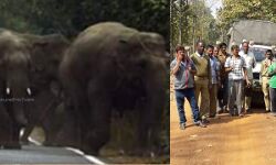 মাধ্যমিক পরীক্ষার্থীদের হাতির হানা থেকে বাঁচাতে বন দপ্তরের বিশেষ টহলদারি শুরু হল জেলার উত্তর বন বিভাগের বড়জোড়া,বেলিয়াতোড়,গঙ্গাজলঘাটি ও সোনামুখিতে।