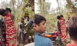 মেজিয়ায় গাছে ঝুলন্ত অবস্থায় উদ্ধার যুগলের মৃতদেহ, এলাকায় চাঞ্চল্য।