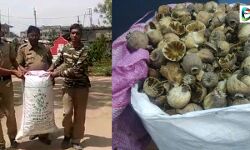 সারেঙ্গায় নাকা চেকিংএ- উদ্ধার প্রচুর পরিমাণ পোস্তর খোলা। সারেঙ্গায় নাকা চেকিংএ- উদ্ধার প্রচুর পরিমাণ পোস্তর খোলা।